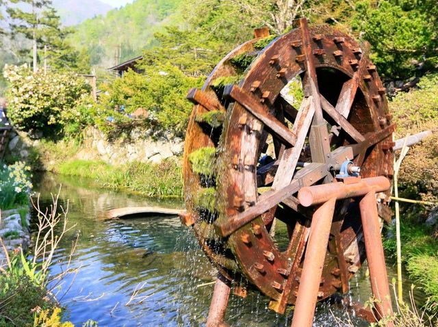 世界文化遺產日本合掌村