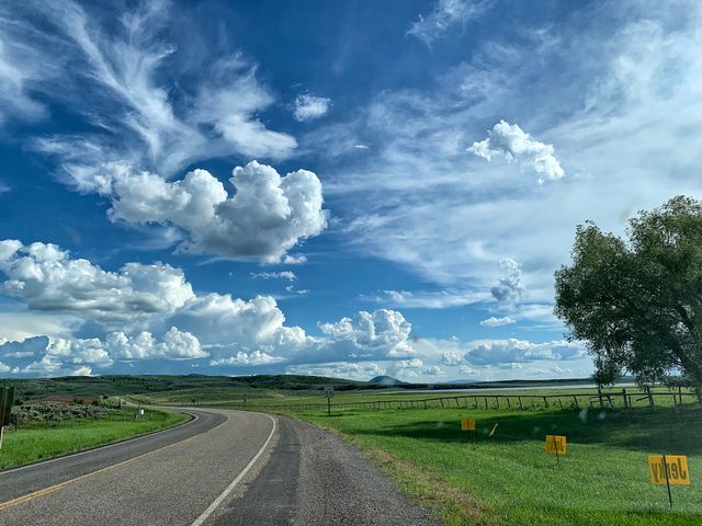 Rush out of Yellowstone.