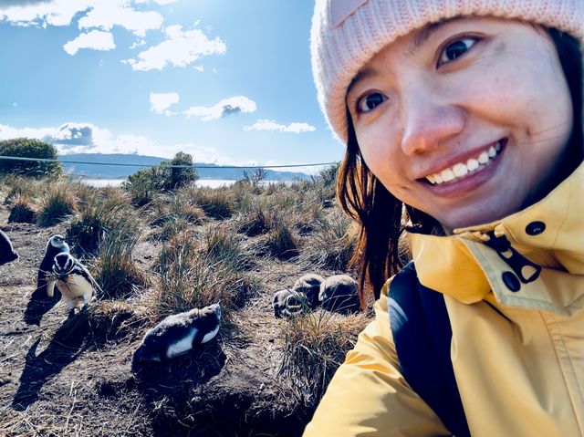 🇦🇷 Comprehensive guide on how to visit penguins' homes at zero distance.