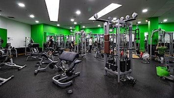Free Ladies only Gym session | Nuffield Health Sheffield Fitness and Wellbeing Gym