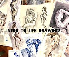 Beginners' Life Drawing Intensive--All Supplies Included! | 8 Hop Gardens