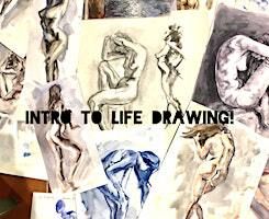 Beginners' Life Drawing Intensive--All Supplies Included! | 8 Hop Gardens