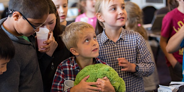 Holiday workshops: Intro to Evolution (ages 7–8) | The Royal Institution