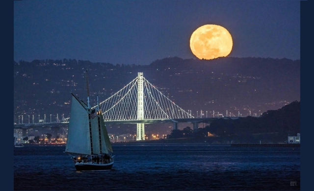 Saturday Full Moon Sail on San Francisco Bay - August 2025 | Schooner Freda B