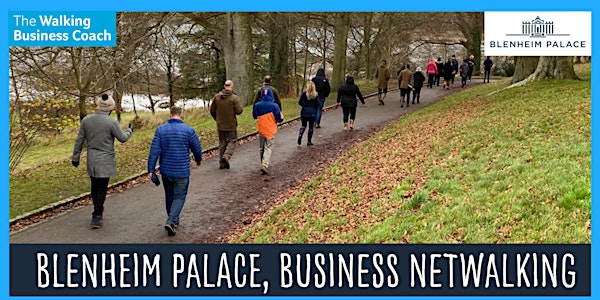 Business Netwalking at Blenheim Palace, Wed 20th Aug, 9.30am-11.30am | Blenheim Palace