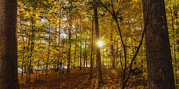 Autumn Equinox Nature Celebration | Rushcliffe Country Park