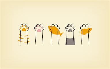 The Psychology of Cats with Dr Jon Bowen | Hen & Chicken