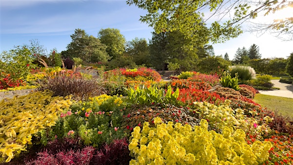 Planting a Four Season Cutting Garden | The North Carolina Arboretum