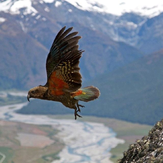 West Matukituki Track West Matukituki Track