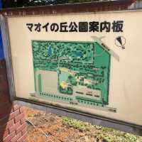 北海道長沼町「道の駅　マオイの丘公園」