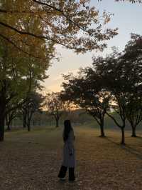 경주 대릉원