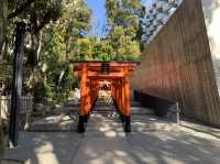 【兵庫観光】神戸の中心地に位置する神社！！