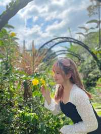 馬灣主題公園