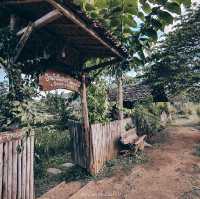 เมืองคอง เชียงดาว เชียงใหม่
