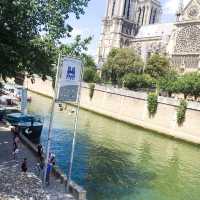 웅장한 파리 노테르담 성당 🇫🇷 