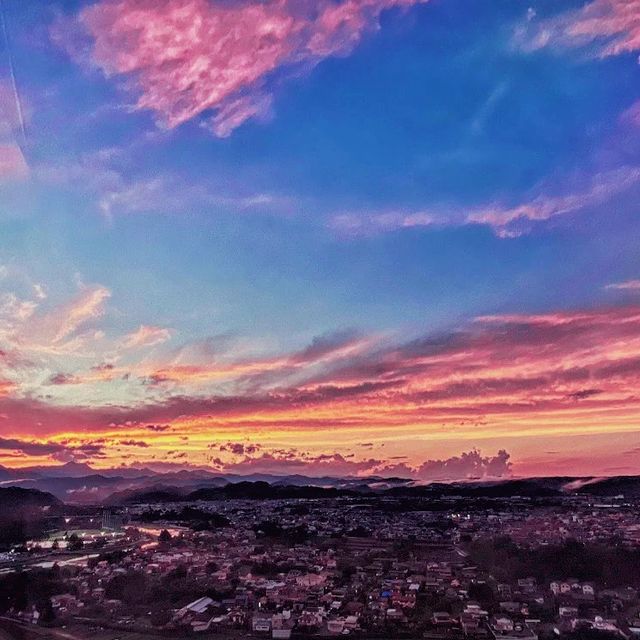 夏におすすめ