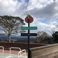 【淡路島】こんなところにおっ玉葱！？🧅