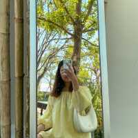 คาเฟ่เปิดใหม่อยุธยาตีมดอกทานตะวัน 🌻