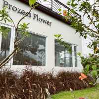 絕美網紅拍照花園空間｜Prozess Flower普羅賽斯｜白色韓系咖啡廳