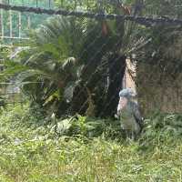上野動物園