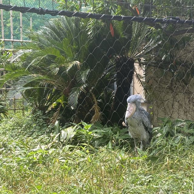 上野動物園