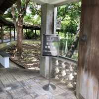 台北｜故宮至善園｜實境解謎遊戲