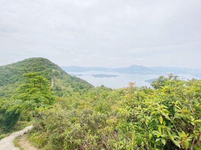 八仙嶺全走