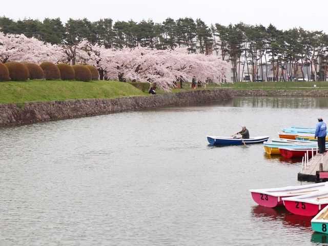 函館超靚五稜郭公園