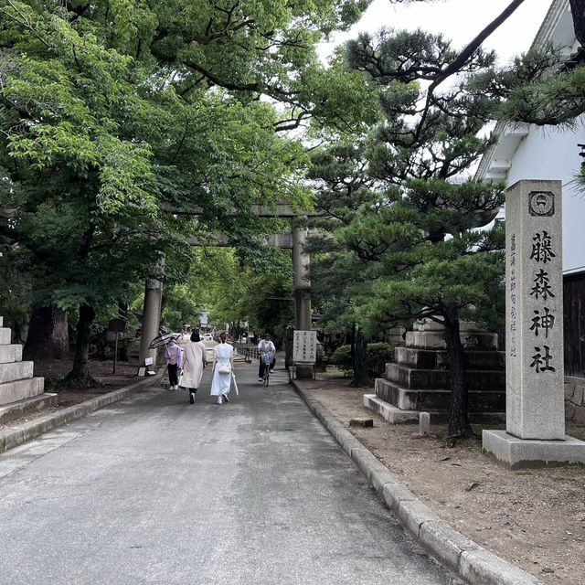 【京都】藤森神社のあじさい苑