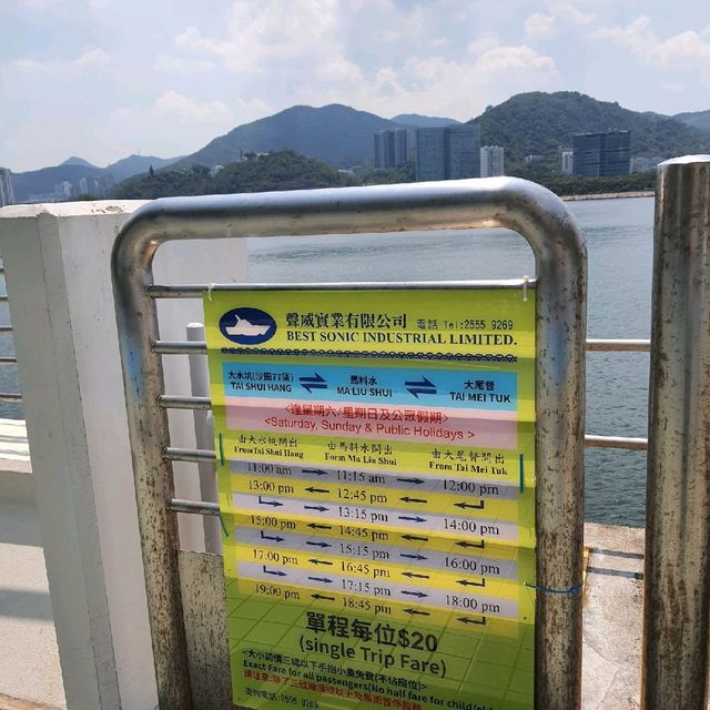 香港境內海上新航線