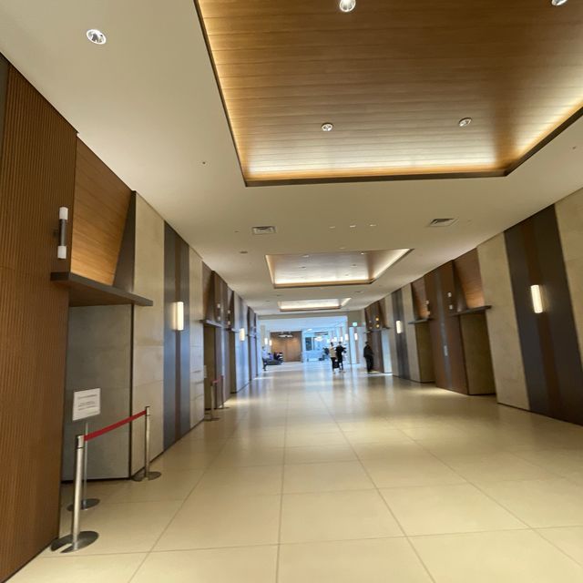 名古屋駅 小籠包ランチ 名古屋駅 小籠包ランチ