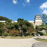 兵庫県！明石の菊花展覧会は素晴らしい