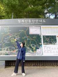 등린이 입문으로 추천하는 청계산⛰