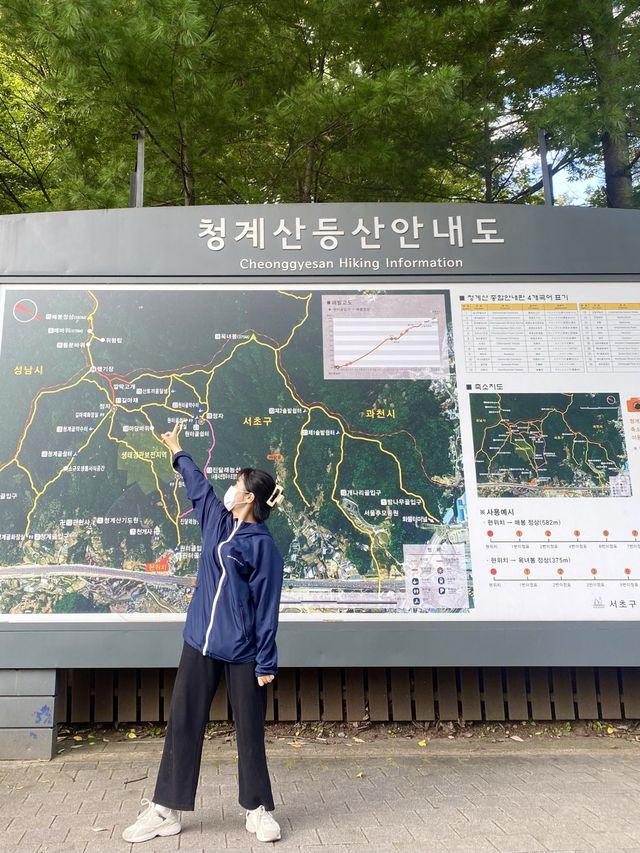 등린이 입문으로 추천하는 청계산⛰