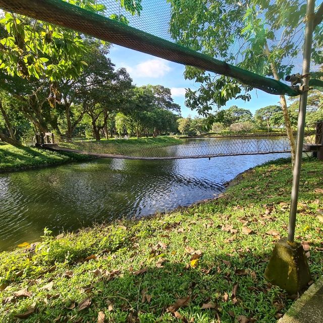 PICO DE LORO STAYCATION 