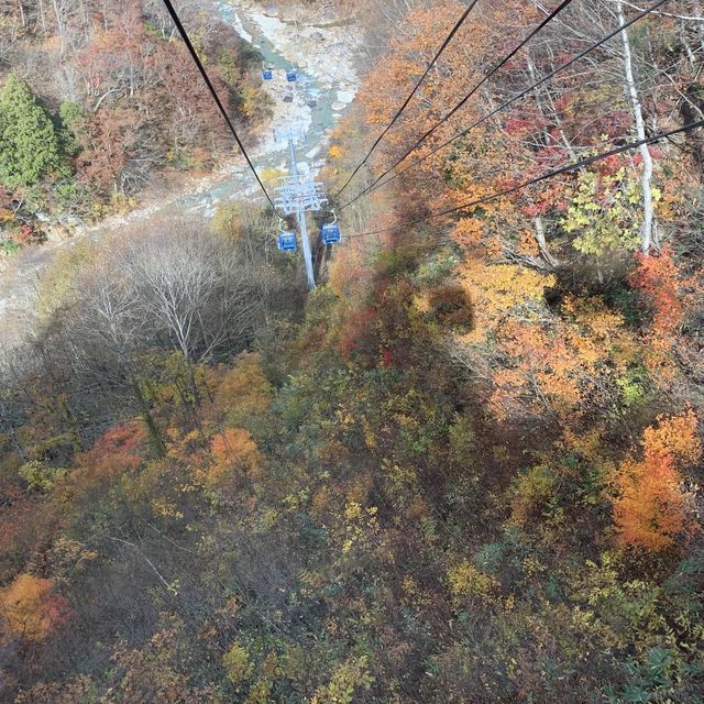 苗場はもう晩秋🍁日本最長ゴンドラ