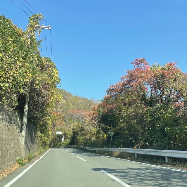 【兵庫県】秋の赤穂で絶景カフェと紅葉を楽しむ