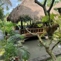 Spa in middle of Nature 