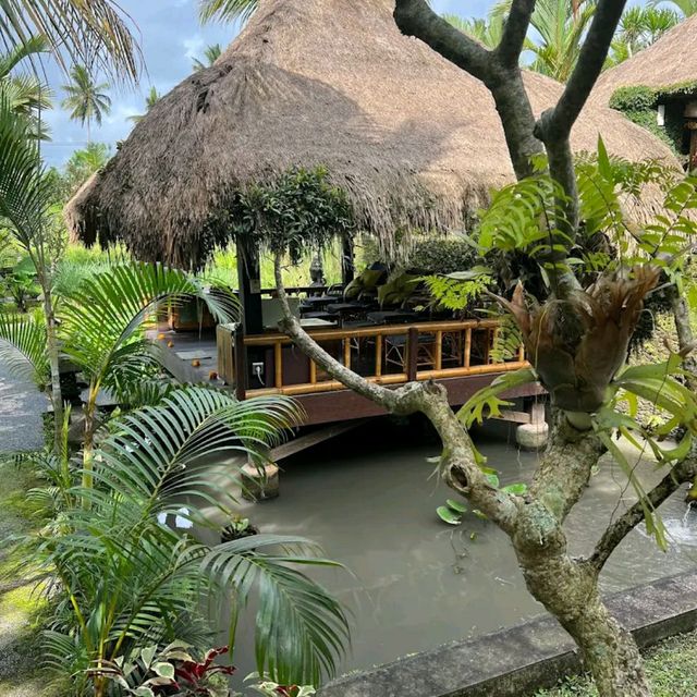 Spa in middle of Nature 