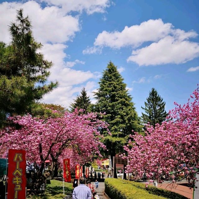自1970年開既～群馬縣伊香保グリーン牧場