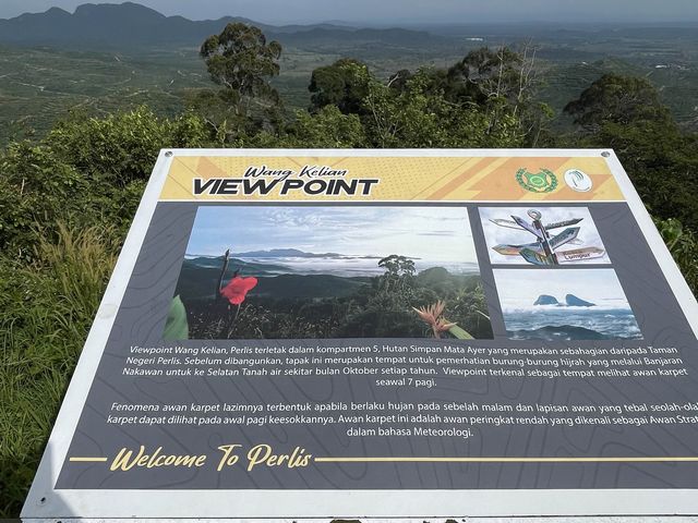 Nice view in Wang Kelian Perlis❤️❤️❤️