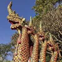 金𤩹輝煌、金光閃閃、真金打造的雙龍寺！