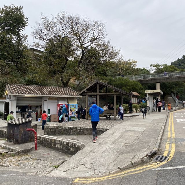 馬騮聚集聖地 （金山郊野公園）