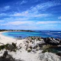 Rottnest island 