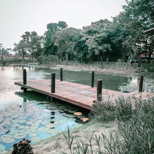 คาเฟ่ติดธรรมชาติ น่านั่งในแปดริ้ว