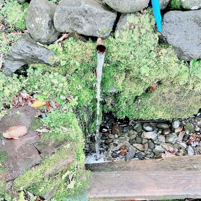 利尻島 穴場の湧水スポット