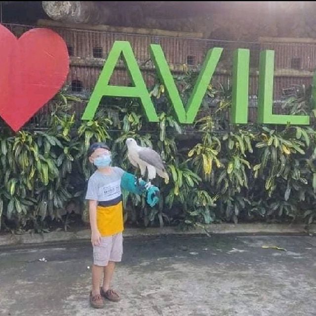 avilon zoo in rizal is really amazing