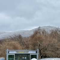 🏔미니 한라산, 어승생악에서 눈오리만들기❄️🐤