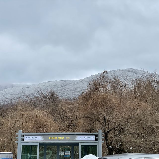 🏔미니 한라산, 어승생악에서 눈오리만들기❄️🐤