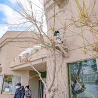 冬の円山動物園・ビーバー館